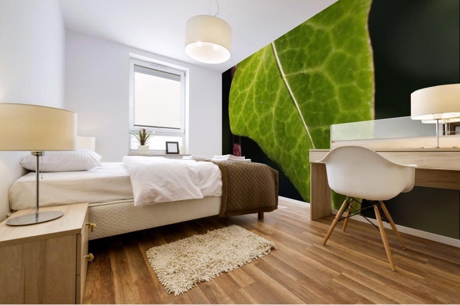 Leaf Heart Mural print