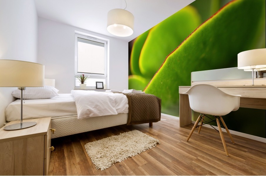 Bright Succulent World Mural print