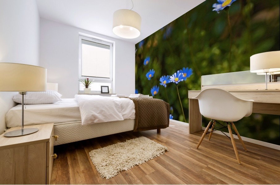 Daisy Garden Mural print