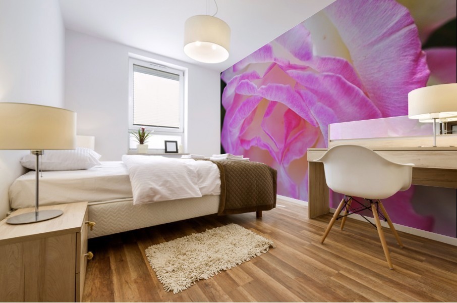 Rose Pink White Mural print