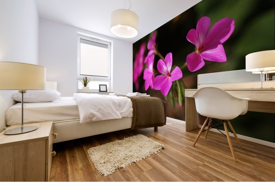 Geraniums In Pink Mural print