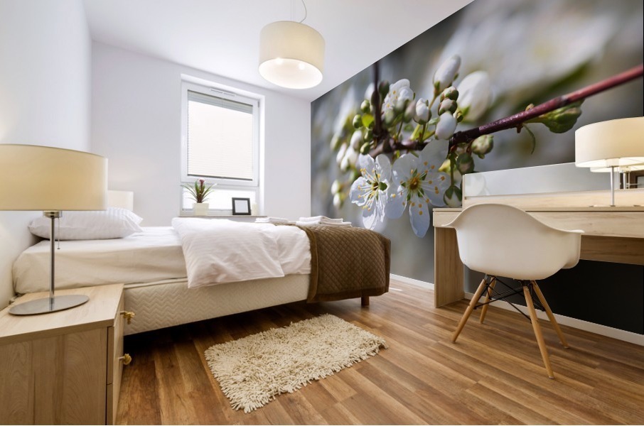 Spring White Blossom Mural print