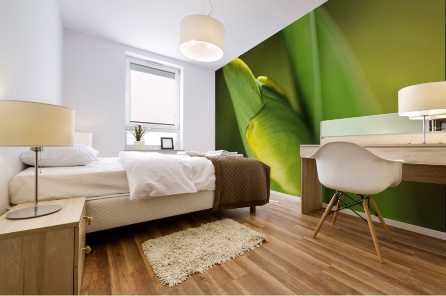 Tulip Bud  Mural print