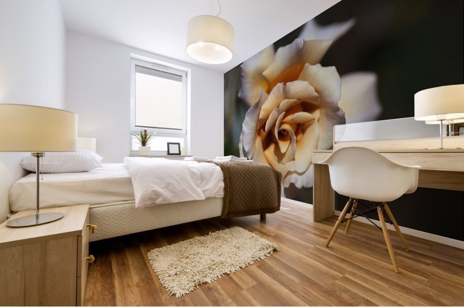 Lush Coffee Rose Mural print