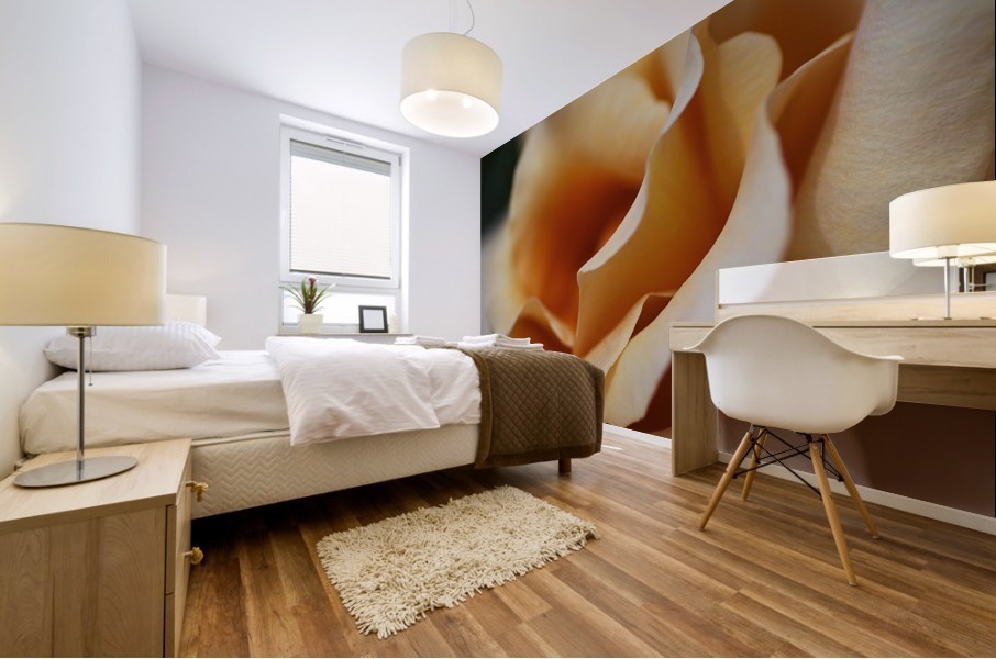 Coffee Rose Delight Mural print