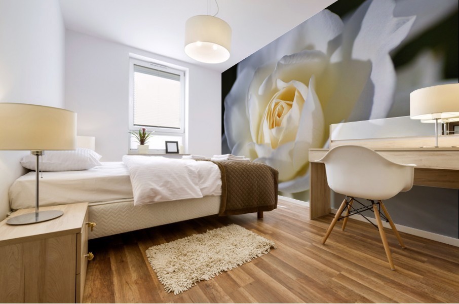 Rose White Mural print