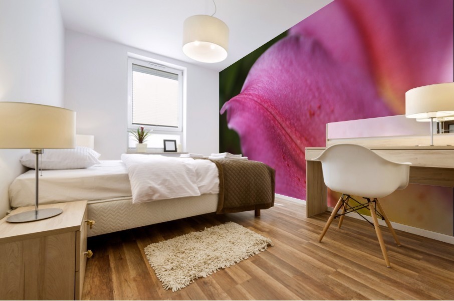 Reaching Lily Petals Mural print