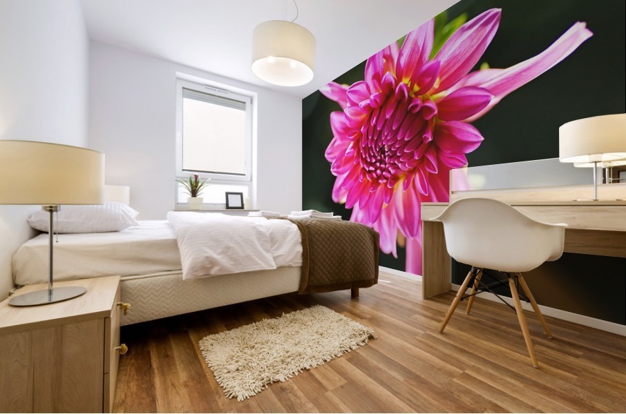 Dahlias Eye Mural print
