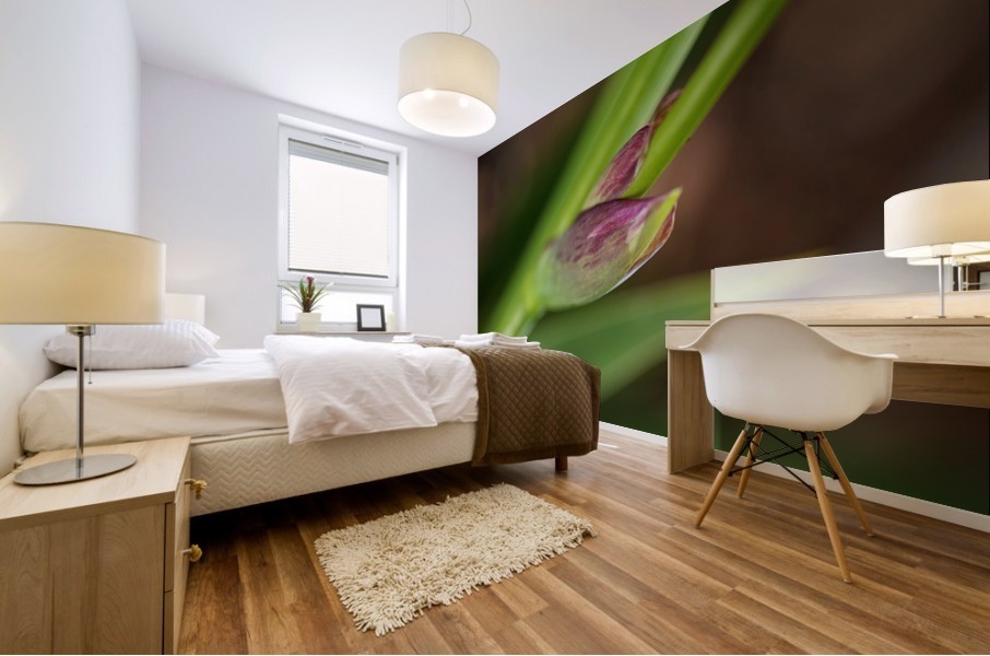 The Iris Spathe Mural print