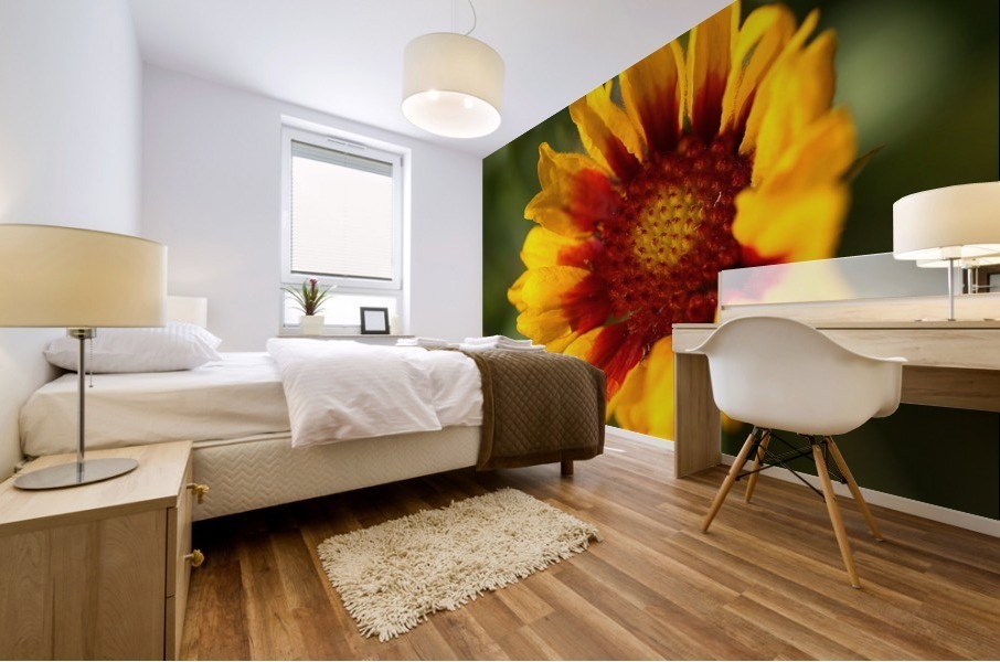 Blanket Flower Blooming Mural print