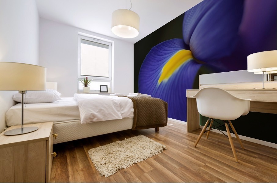 Blue Dreamy Iris Mural print