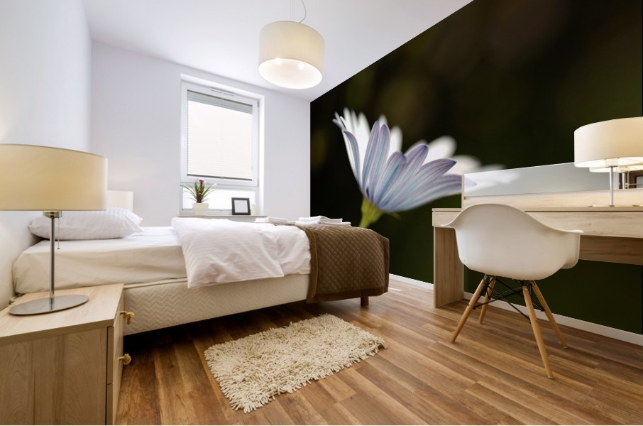 Under The Winter Daisy Mural print