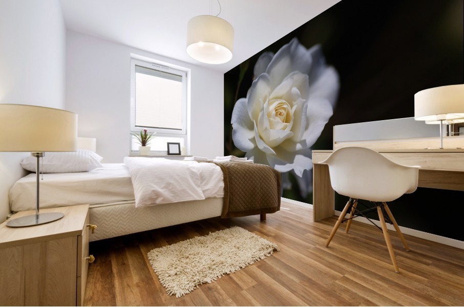 Rose Lush White Mural print