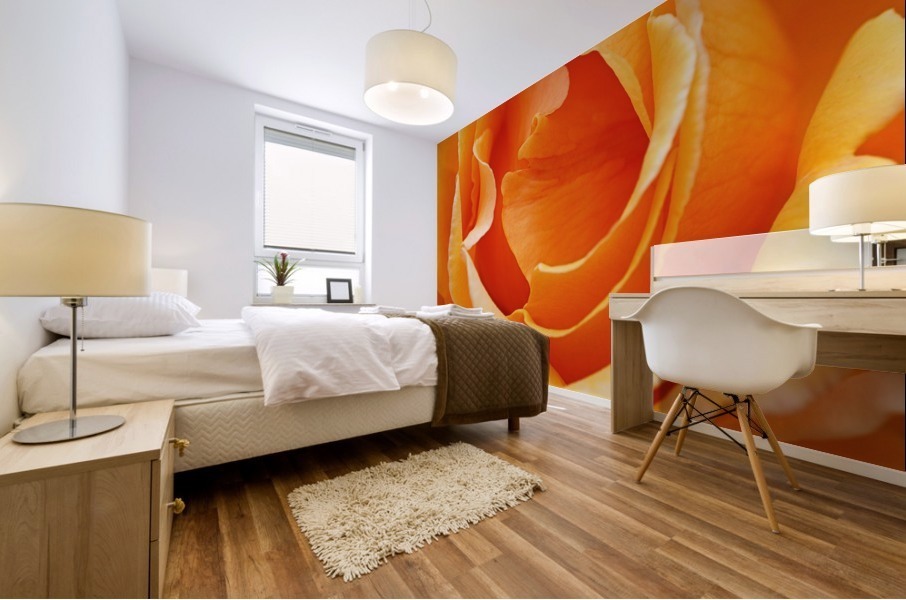 The Orange Rose  Mural print