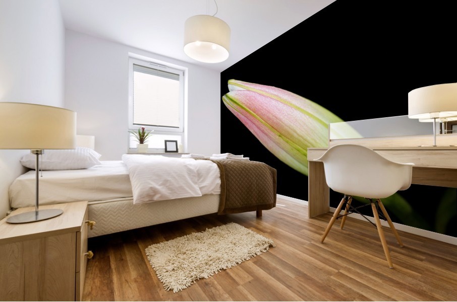 Lily Bud Long Mural print