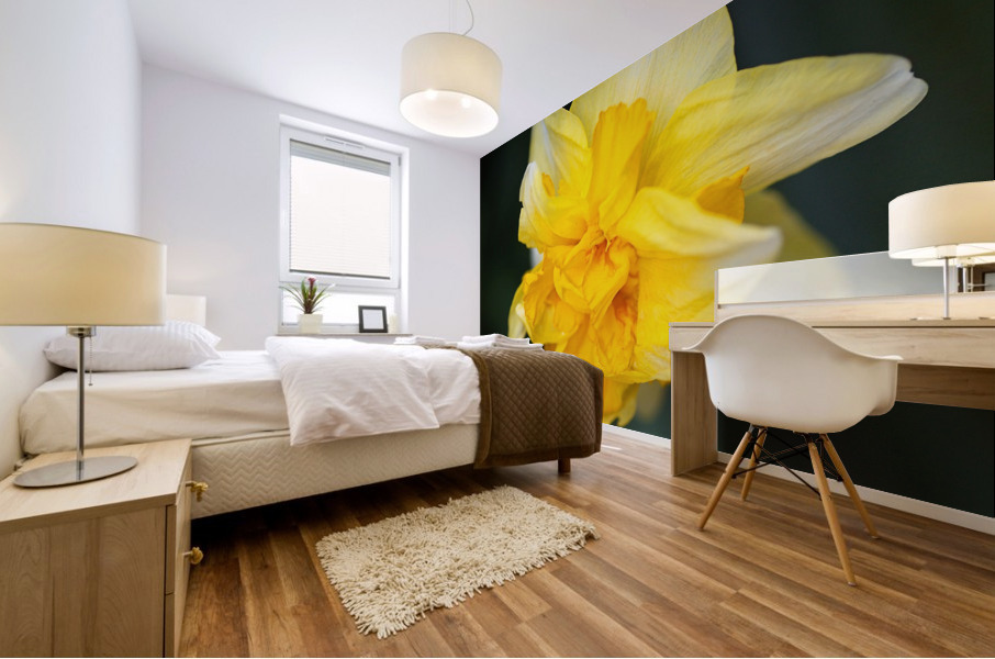 Double Daffodil Yellow Mural print