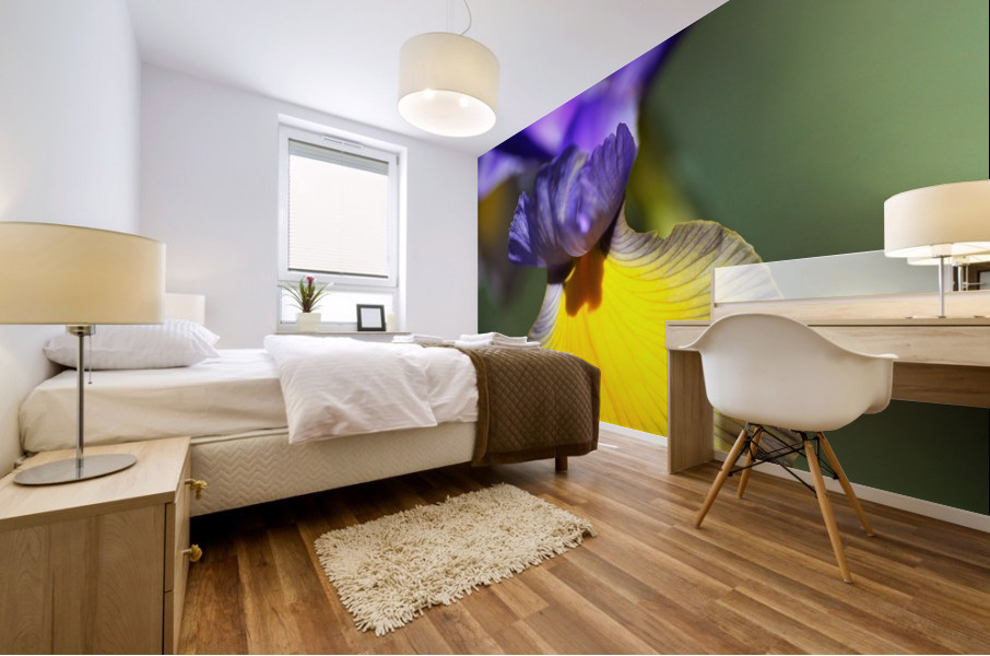 The Dancing Iris Mural print