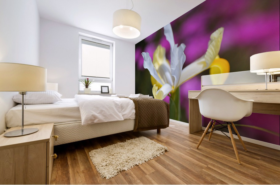 Iris Over Pink Daisies  Mural print