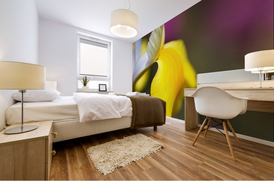 Iris In Side Face Mural print