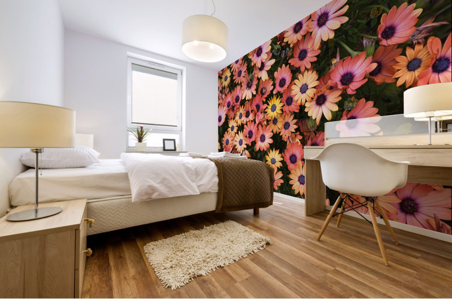 African Daisy Rich Mural print