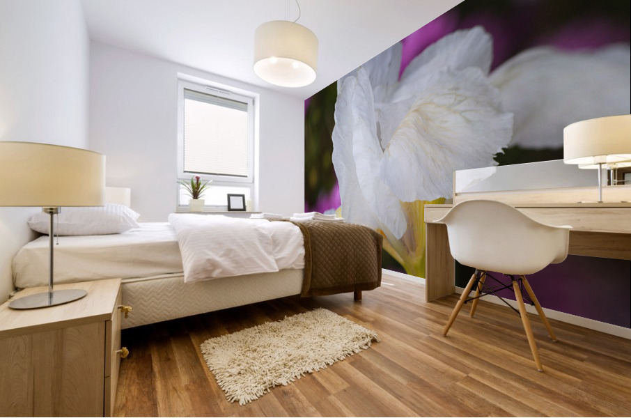 Small White Iris Flower Mural print