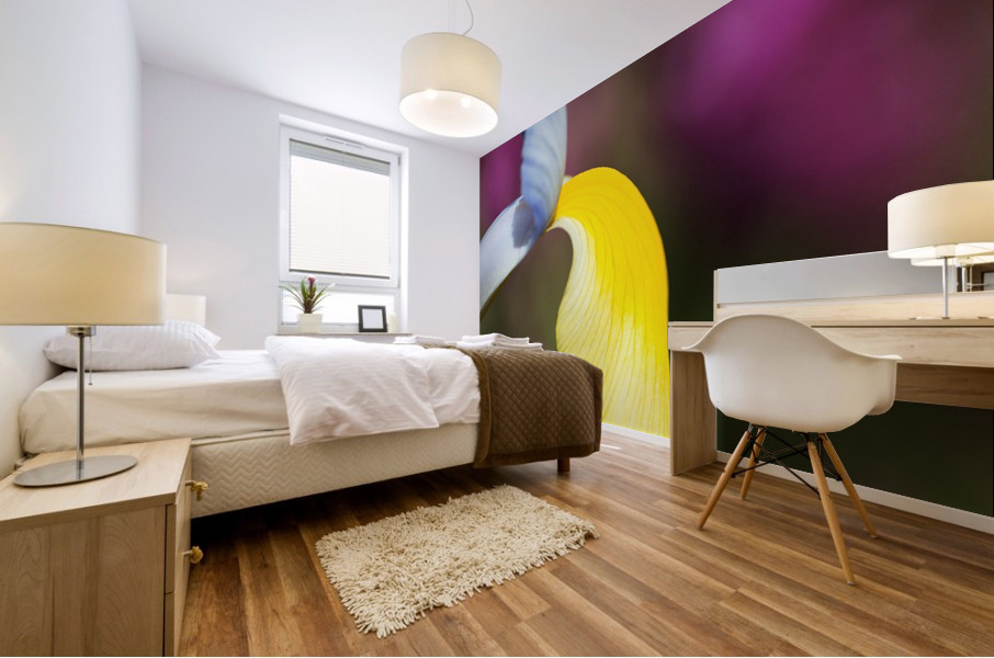 Dutch Iris Symphony Flower Mural print