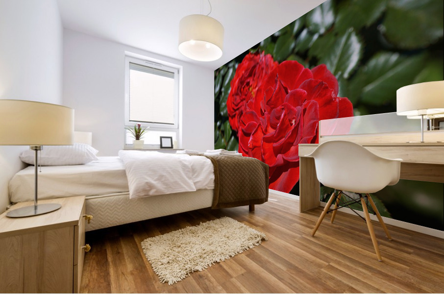 The Two Red Roses Mural print
