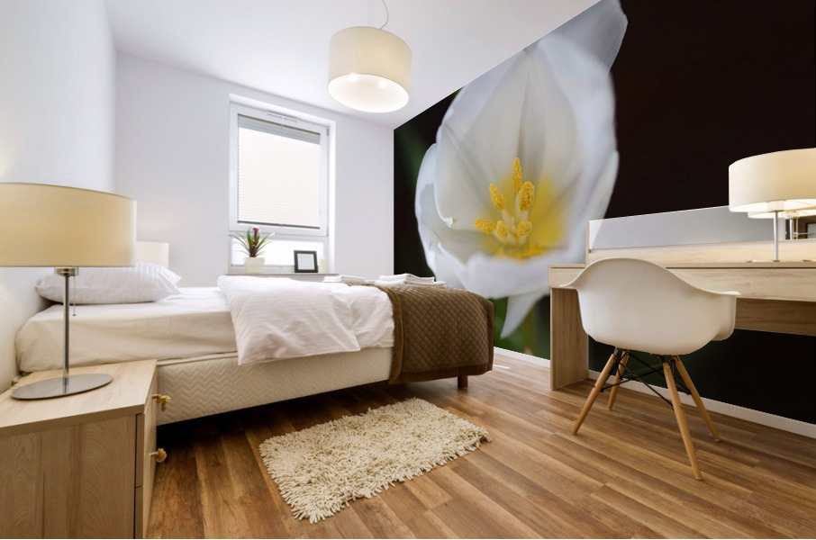 Full White Tulip Mural print