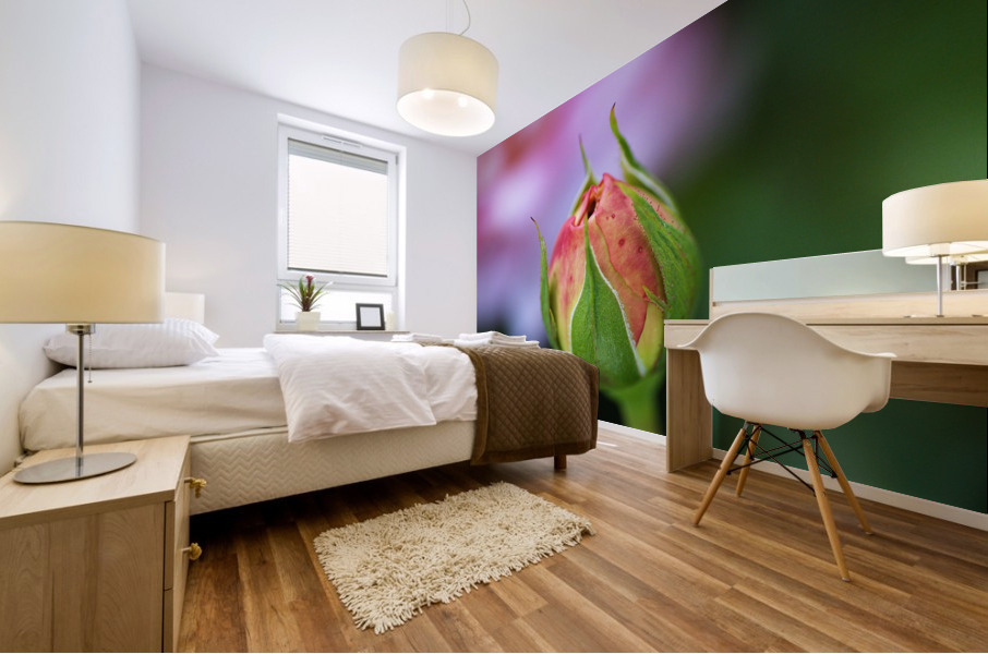 Beautiful Rose Bud Mural print