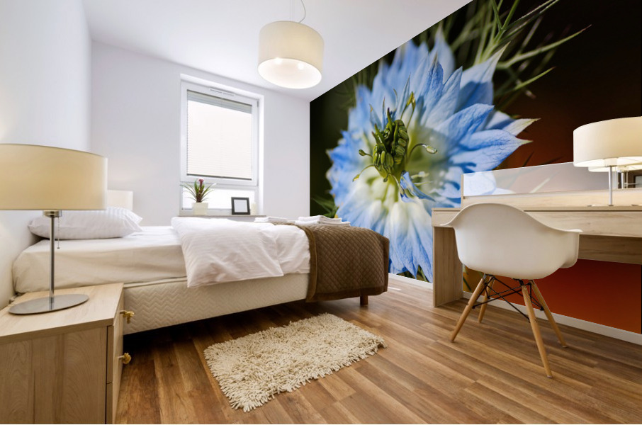 Nigella Flower Mural print