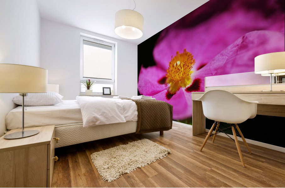Hibiscus Australian Mural print