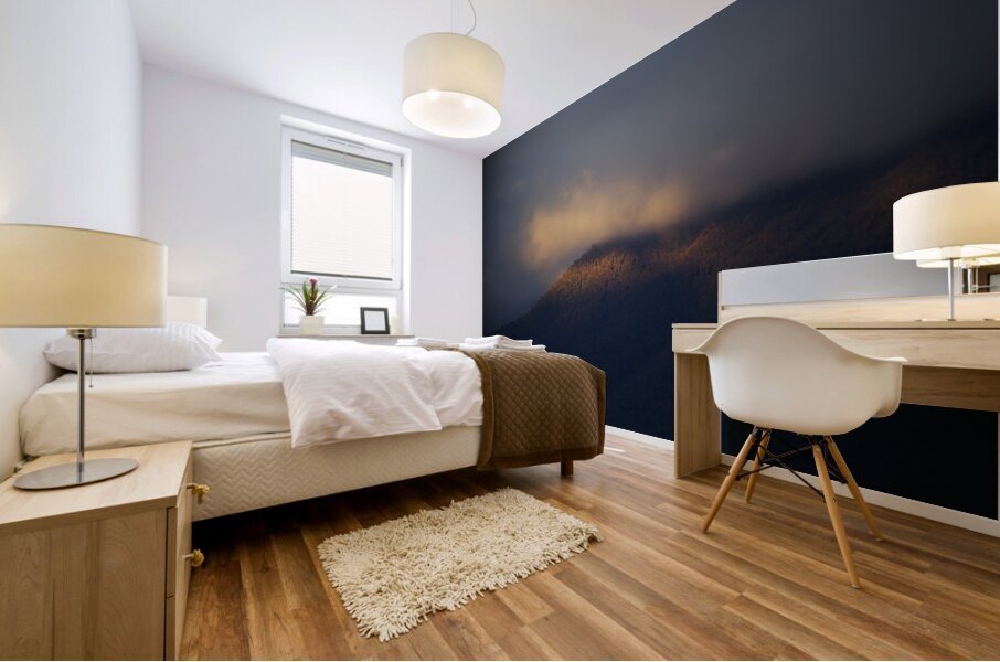 Soft Light At Sunset Mural print