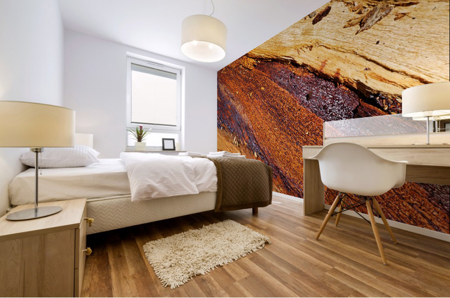 Eucalyptus Tree Natural Layers Mural print
