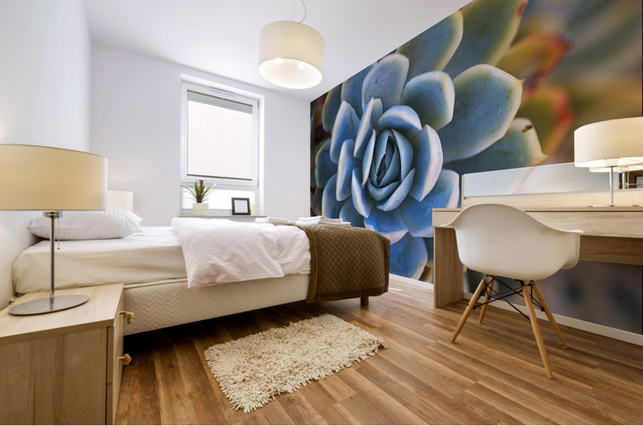 Succulent In Blues Mural print