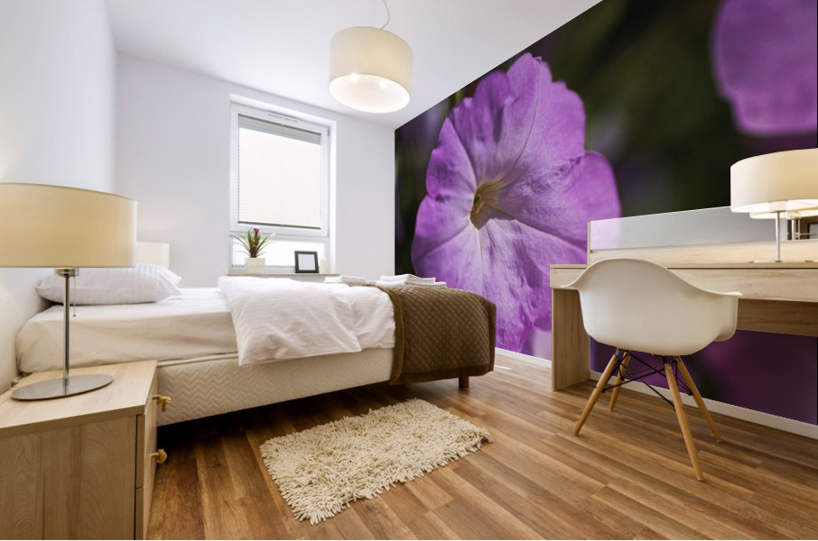 Pink Petunia Bloom Mural print