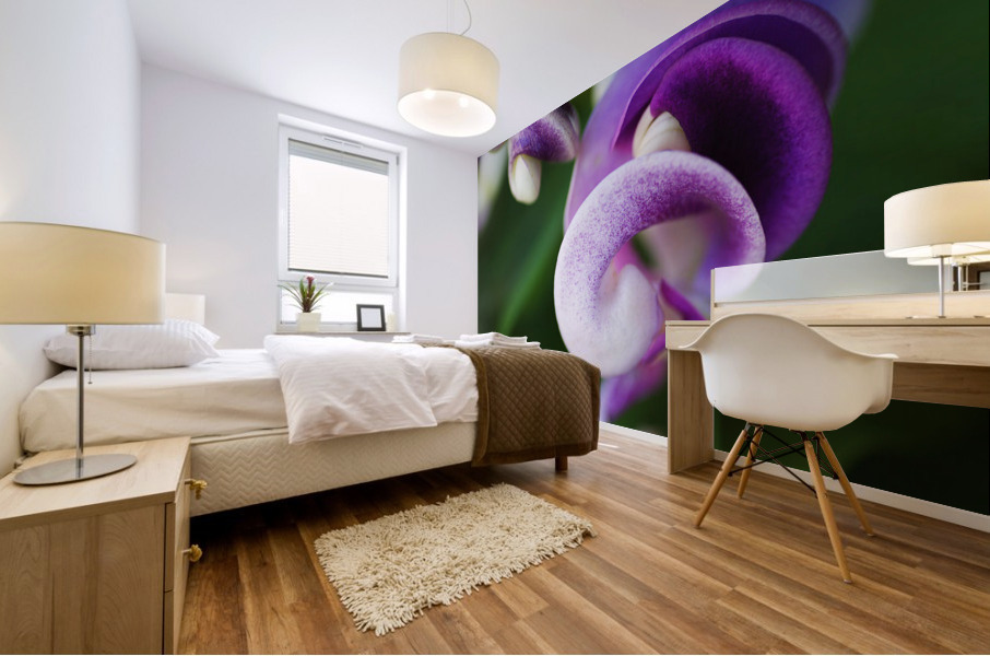 Corkscrew Vine Flower Summer Mural print