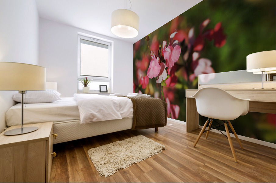 Coral Sage Flowers Mural print