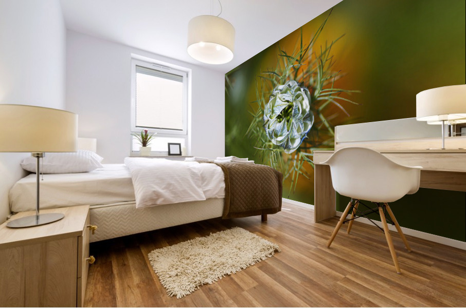 Looking Over Nigella Bloom Mural print