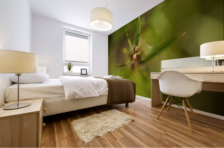 Tea Tree Buds Grow Mural print