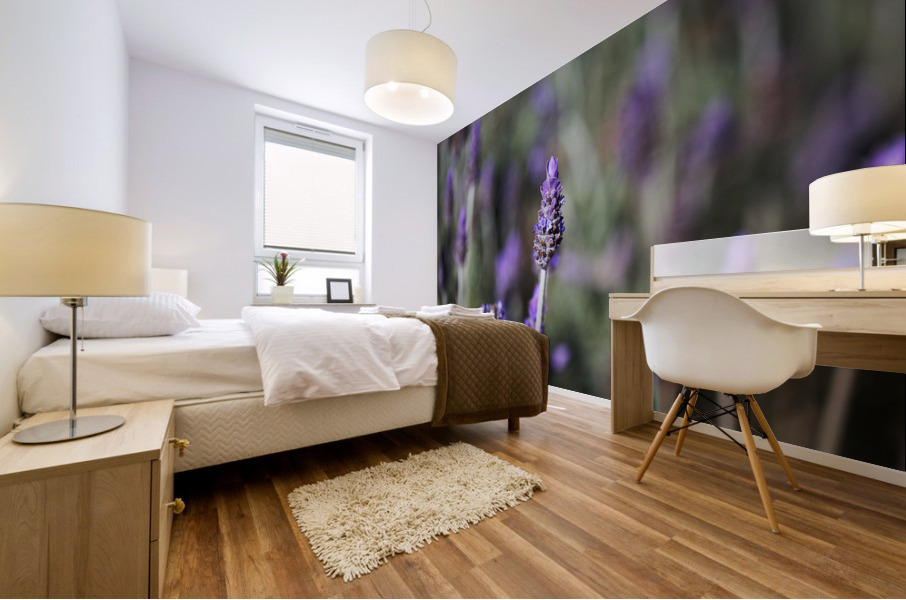 Lavender Flowers Dance  Mural print