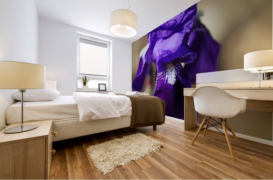 Purple Bearded Iris Sing Mural print