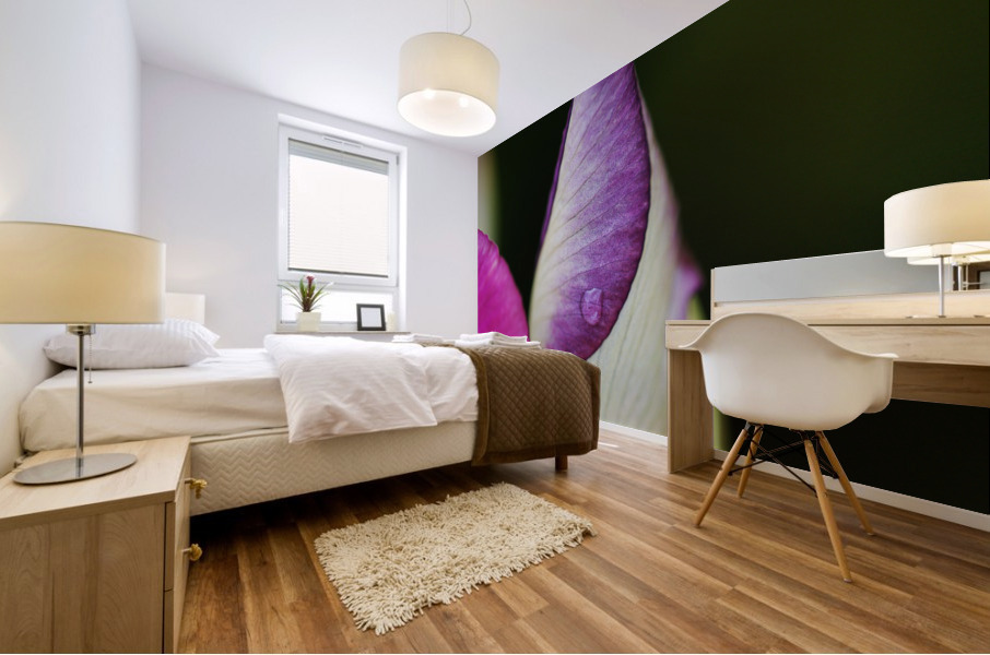 Iris Bud Hiding   Mural print
