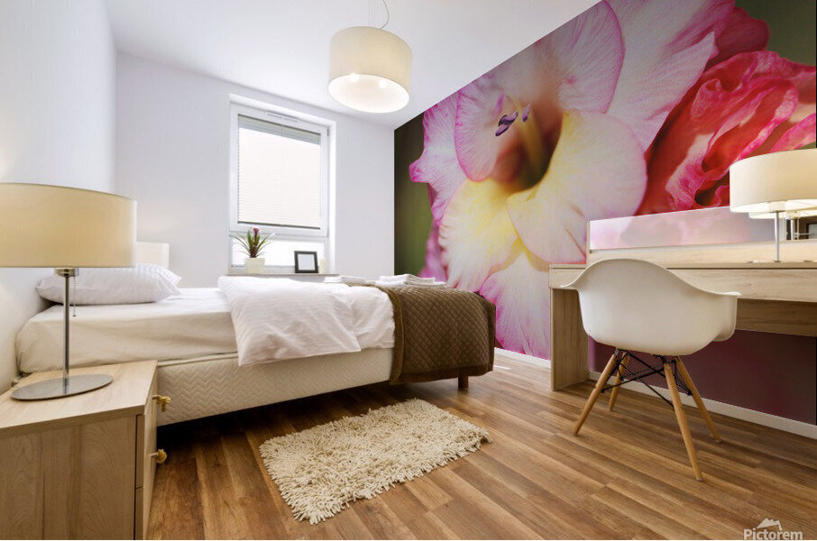 The Sword Lily Mural print