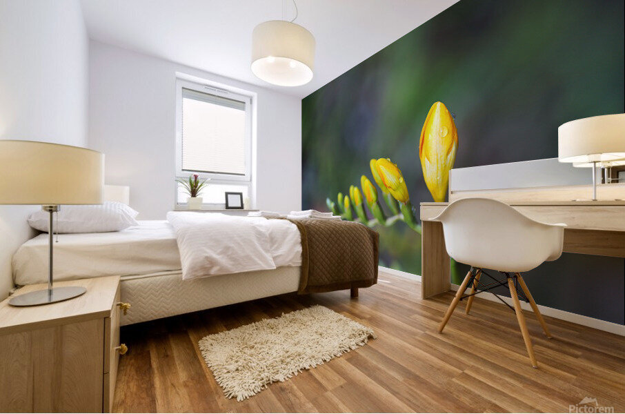 Freesia Yellow Opening Hand Mural print