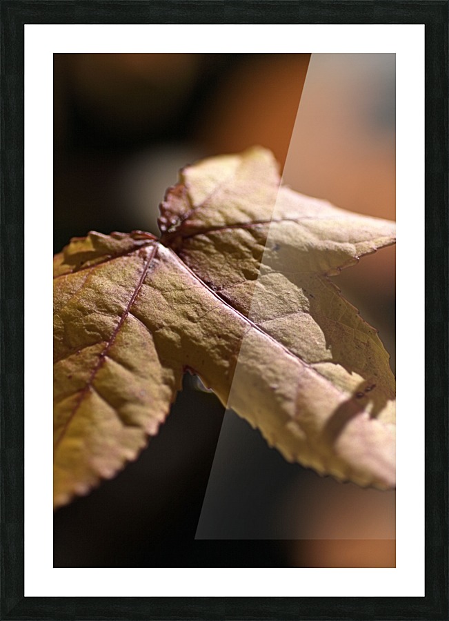 leaf Textures Picture Frame print