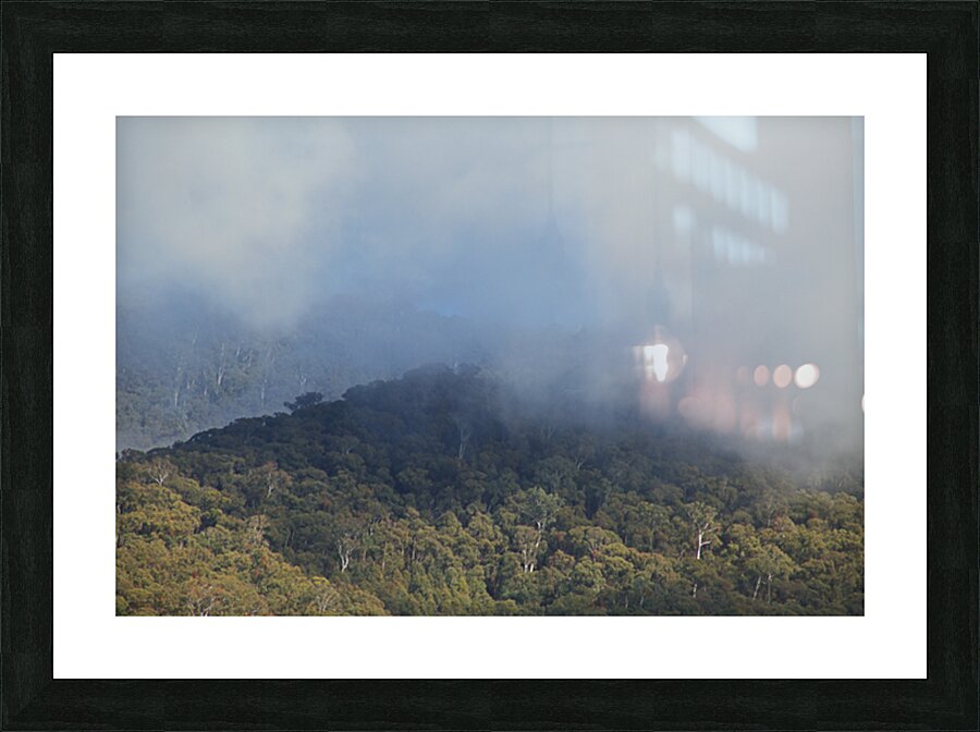Trees Within Her Mist Picture Frame print