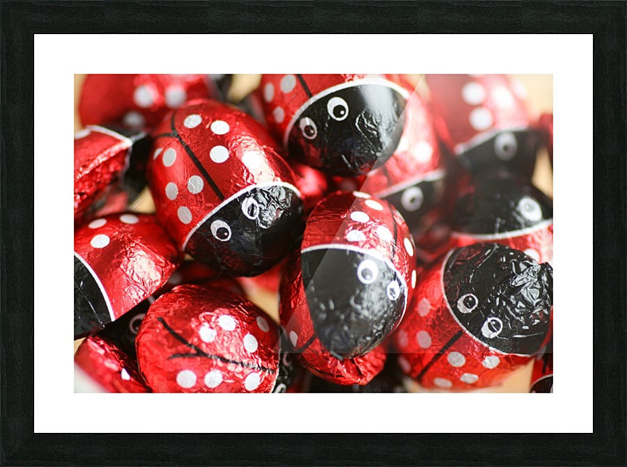 Beetle Chocolate Picture Frame print