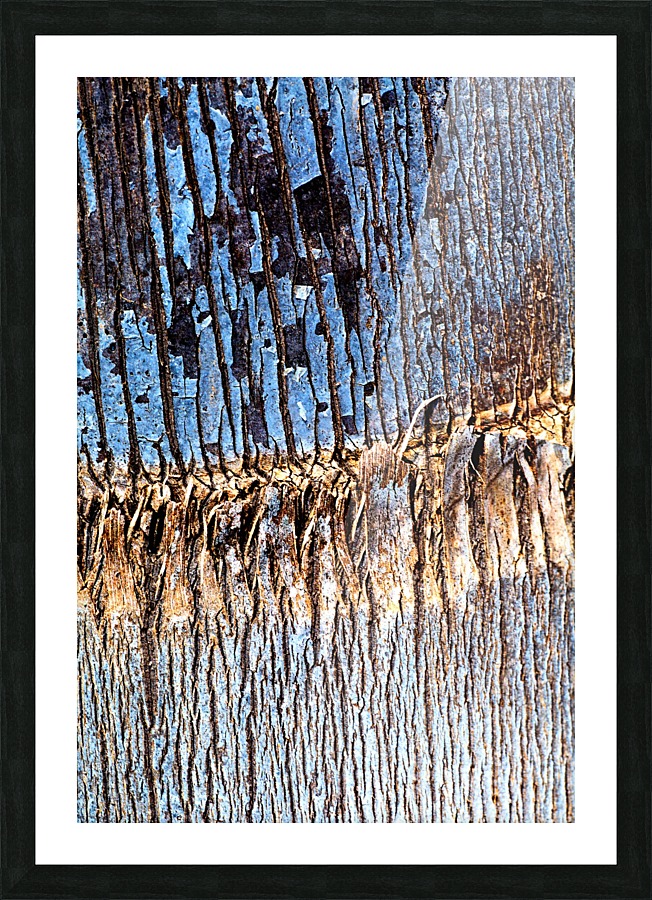 Palm Tree Trunk Blues Picture Frame print