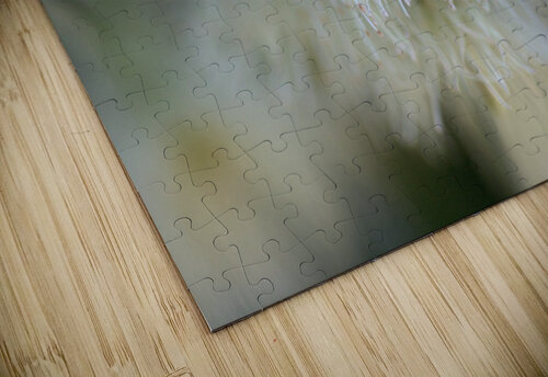 White Eucalyptus Flowers Joy Watson puzzle