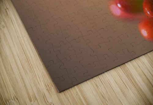 Cactus Romance Joy Watson puzzle